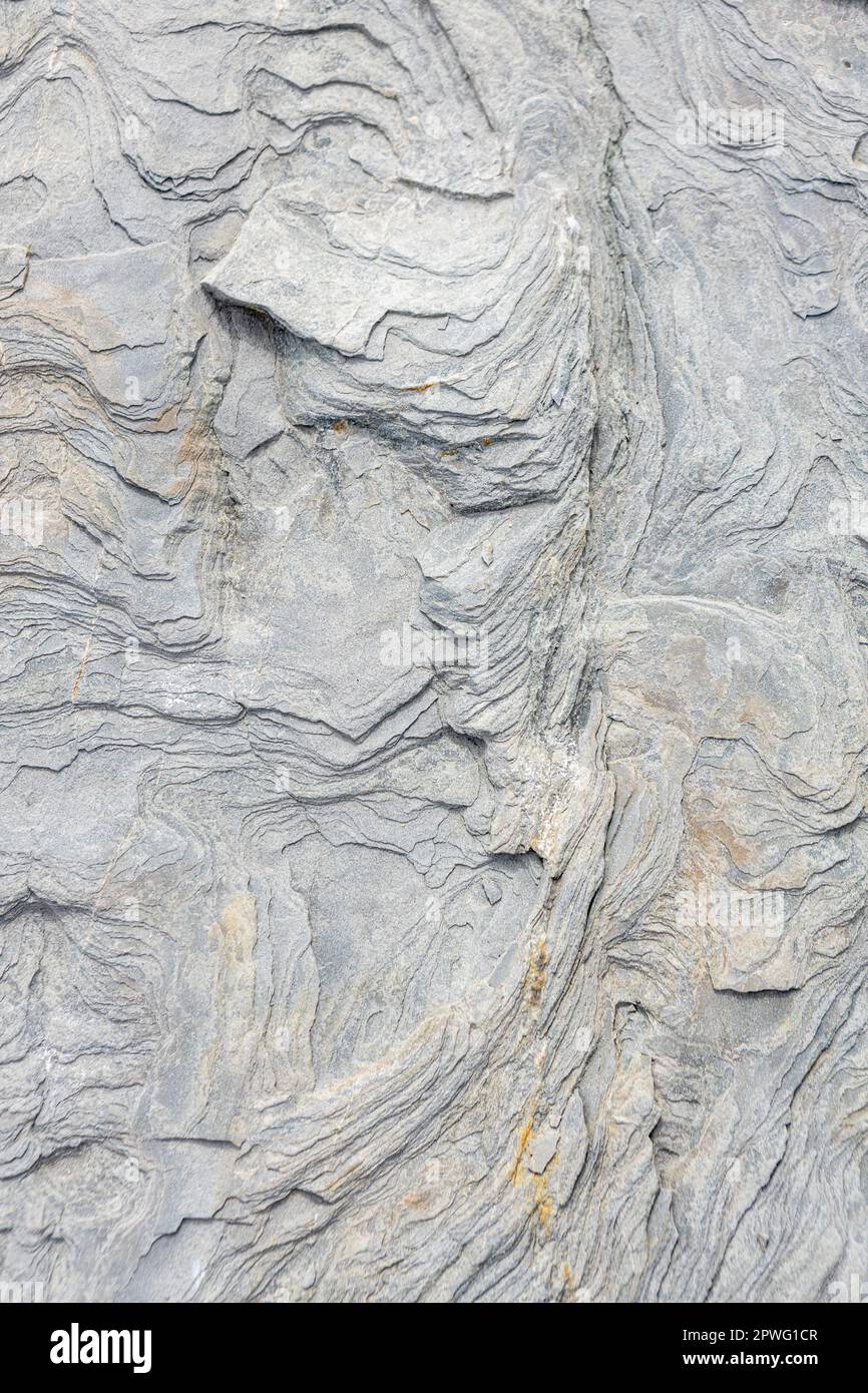 Background natural texture sea stone Stock Photo