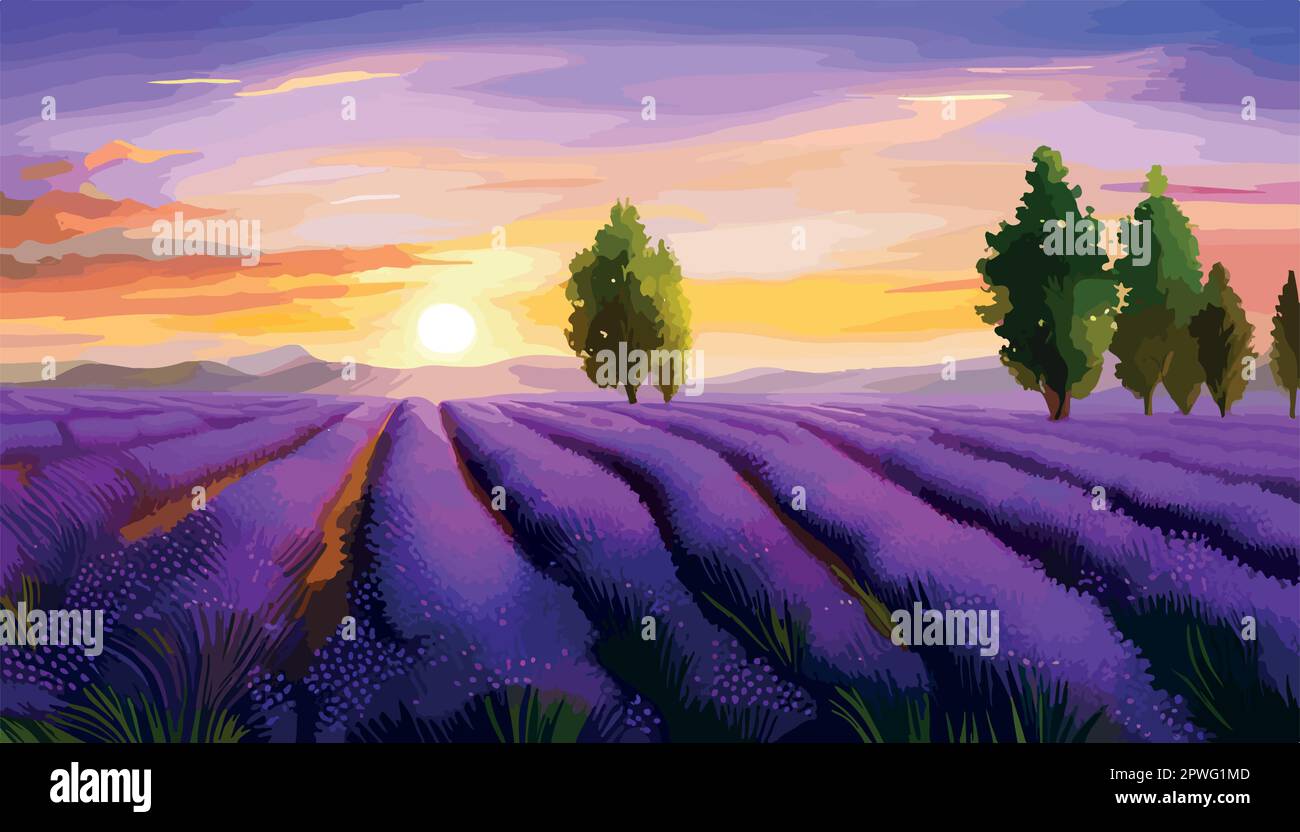 Simple natural horizontal background with blooming lavender field ...