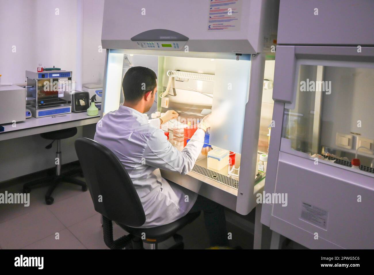 Work in a laminar box. Laboratory equipment for the study of cell cultures. Stock Photo