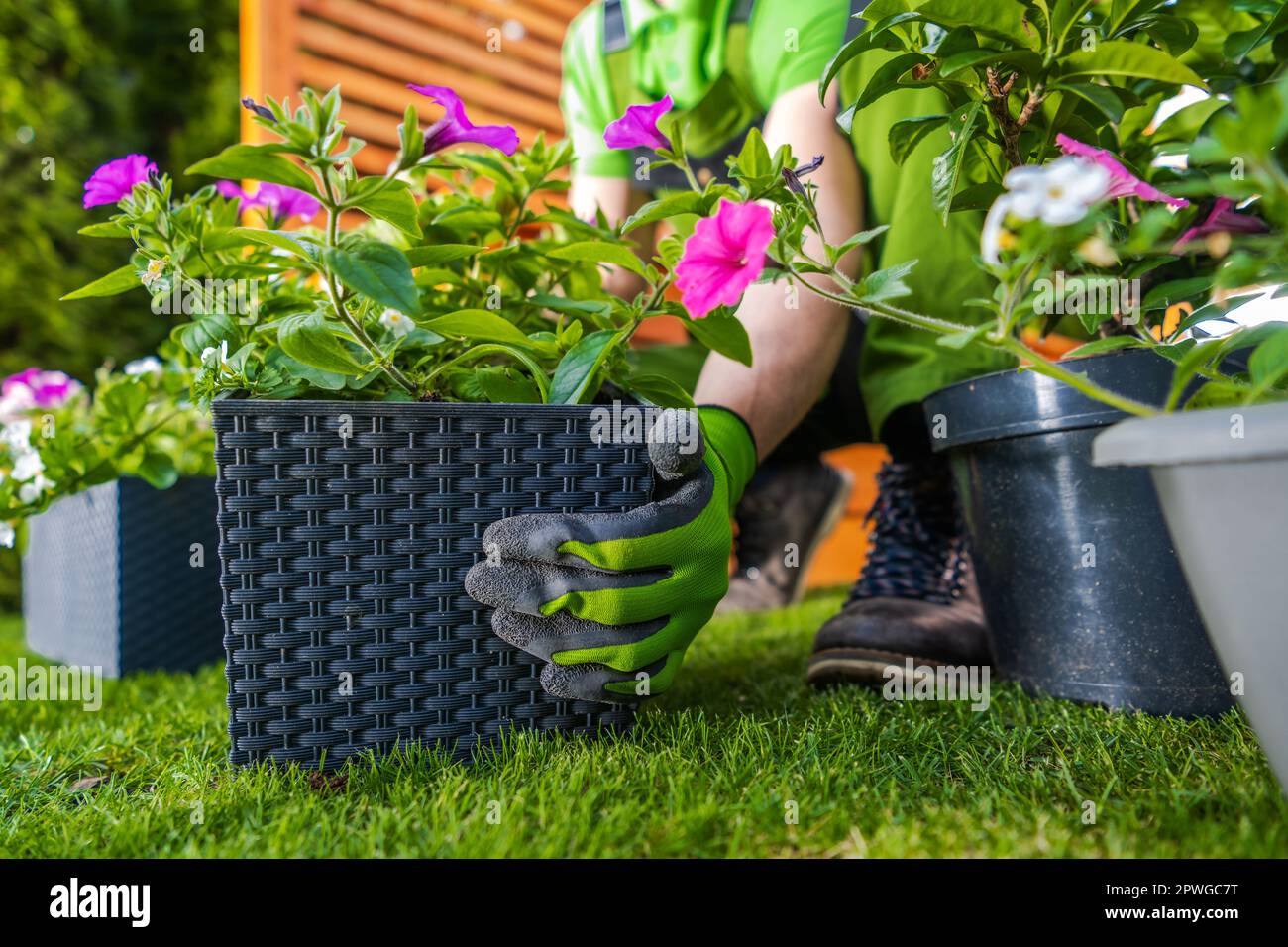man-places-small-flower-hi-res-stock-photography-and-images-alamy