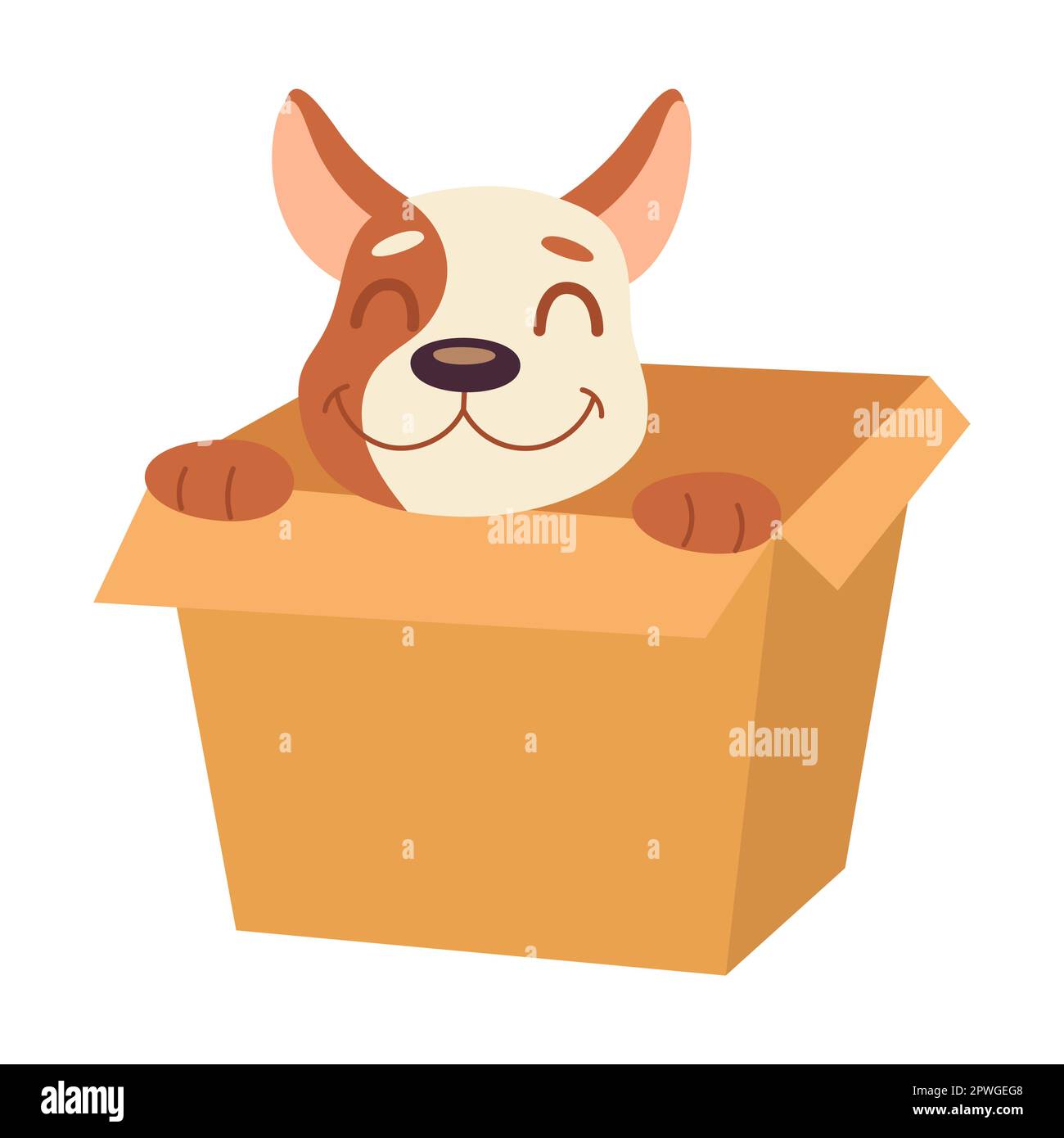Cardboard box cheap dog