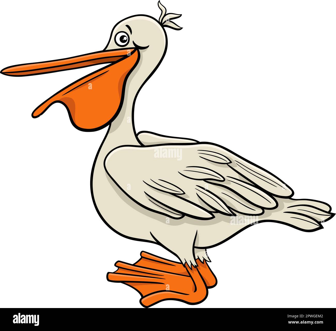 Cartoon illustration of funny pelican bird comic animal character Stock ...