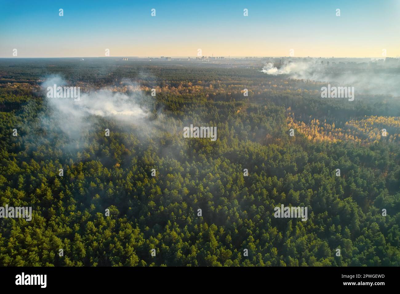 Strong fire in an empty forest. Fire spreads in a united front, strong smoke from the burning place. View from above, vertically from top to bottom. n Stock Photo