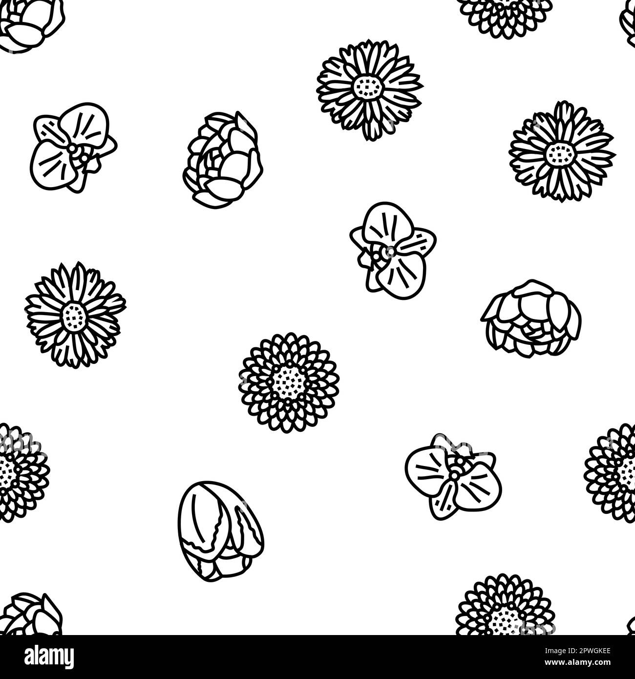 flower blossom spring vector seamless pattern thin line illustration ...