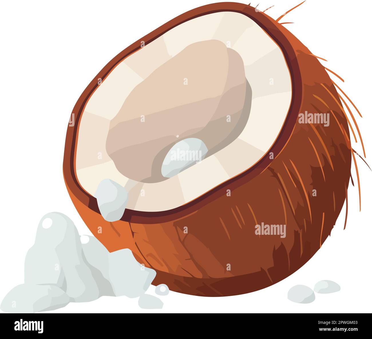Make up the husk of the coconut Stock Vector Images - Alamy