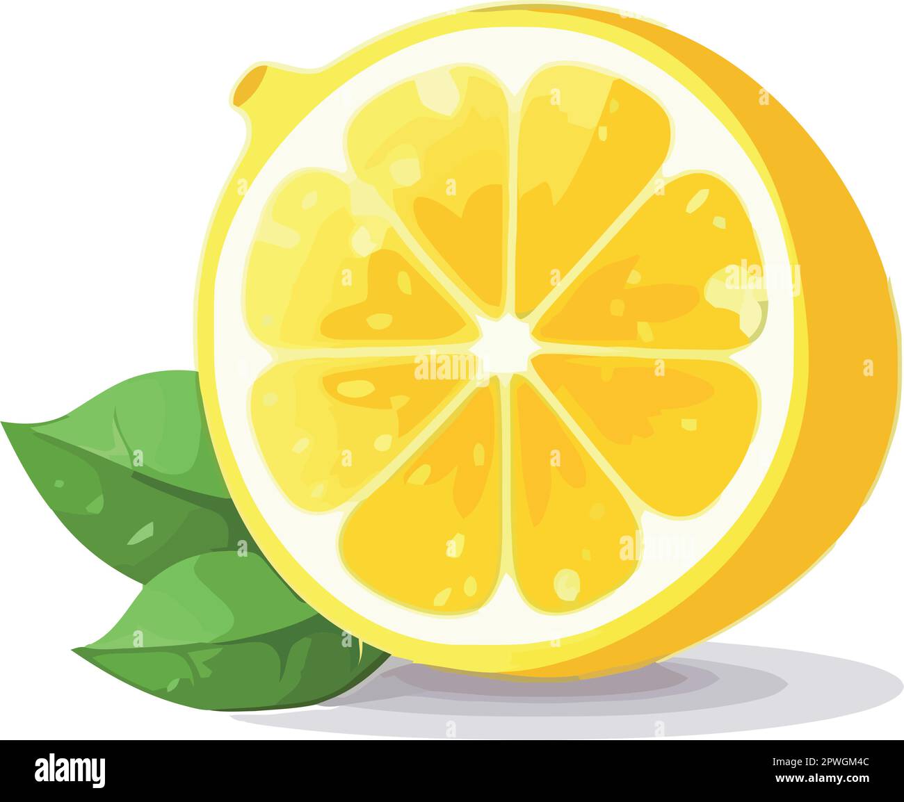 Juicy citrus slice, fresh and ripe yellow lemon Stock Vector Image ...