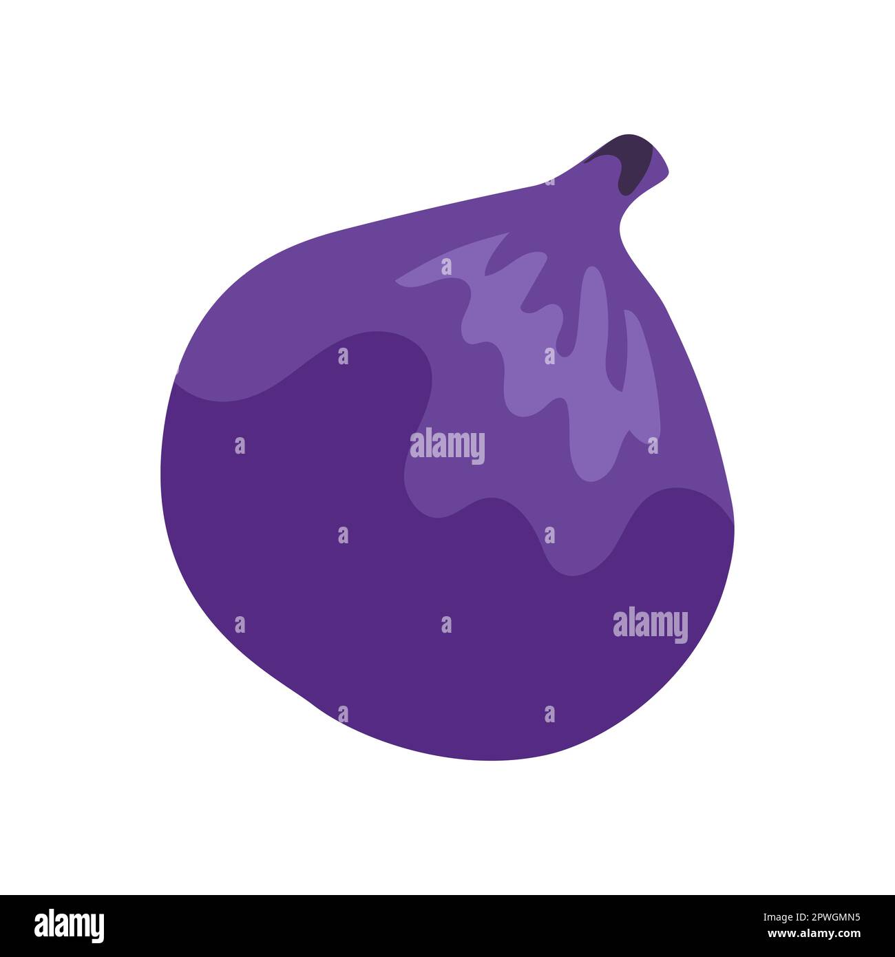 Purple onion with vitamin C vector illustration Stock Vector Image