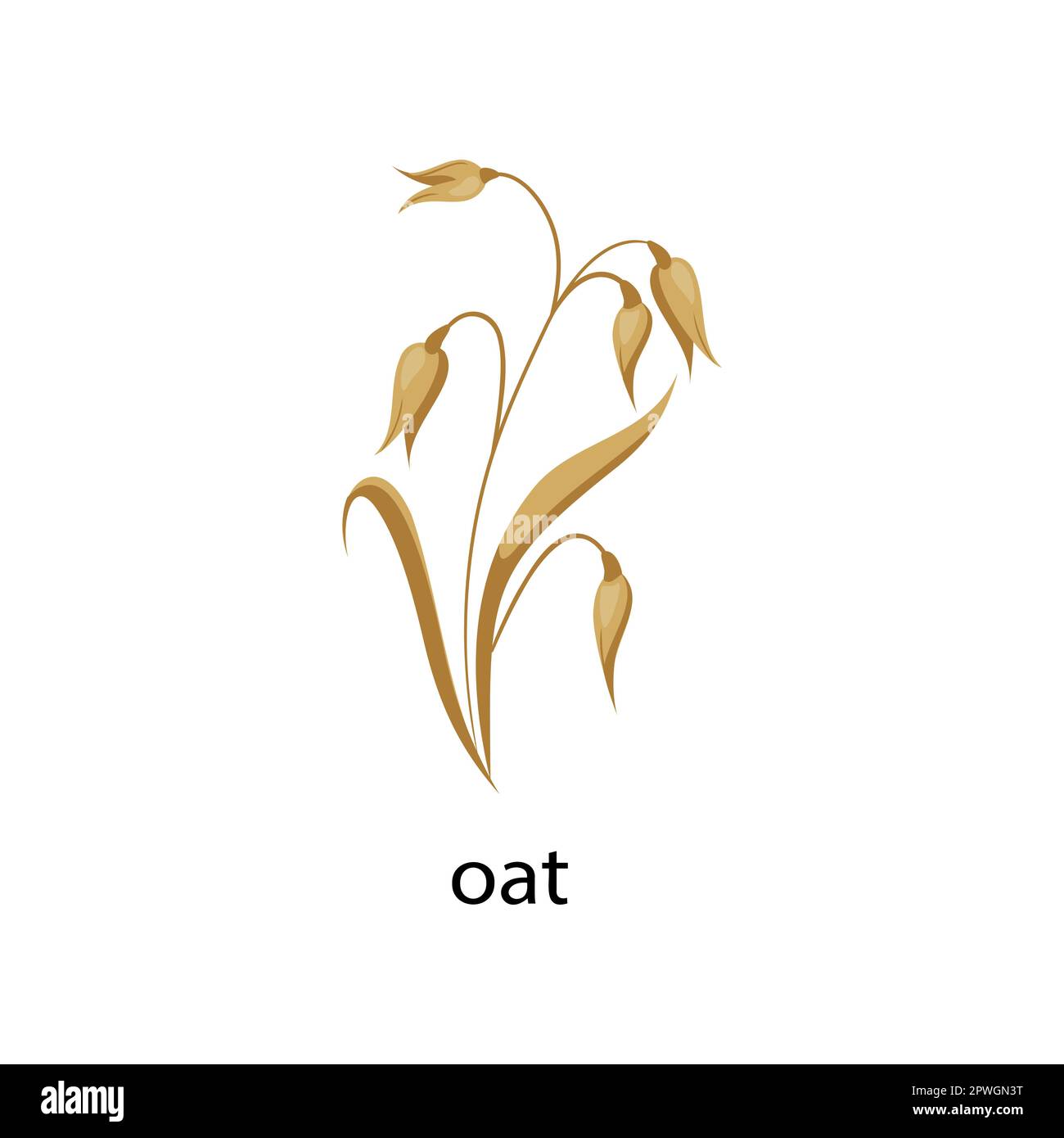 Oat cereal crop cartoon illustration Stock Vector Image & Art Alamy