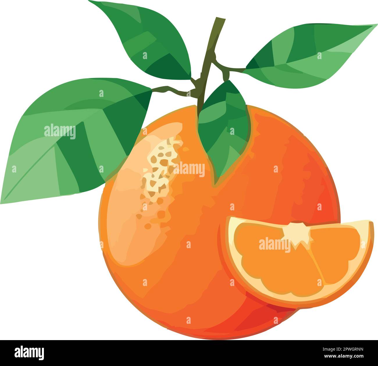 Juicy citrus fruits symbolize healthy eating habits Stock Vector Image