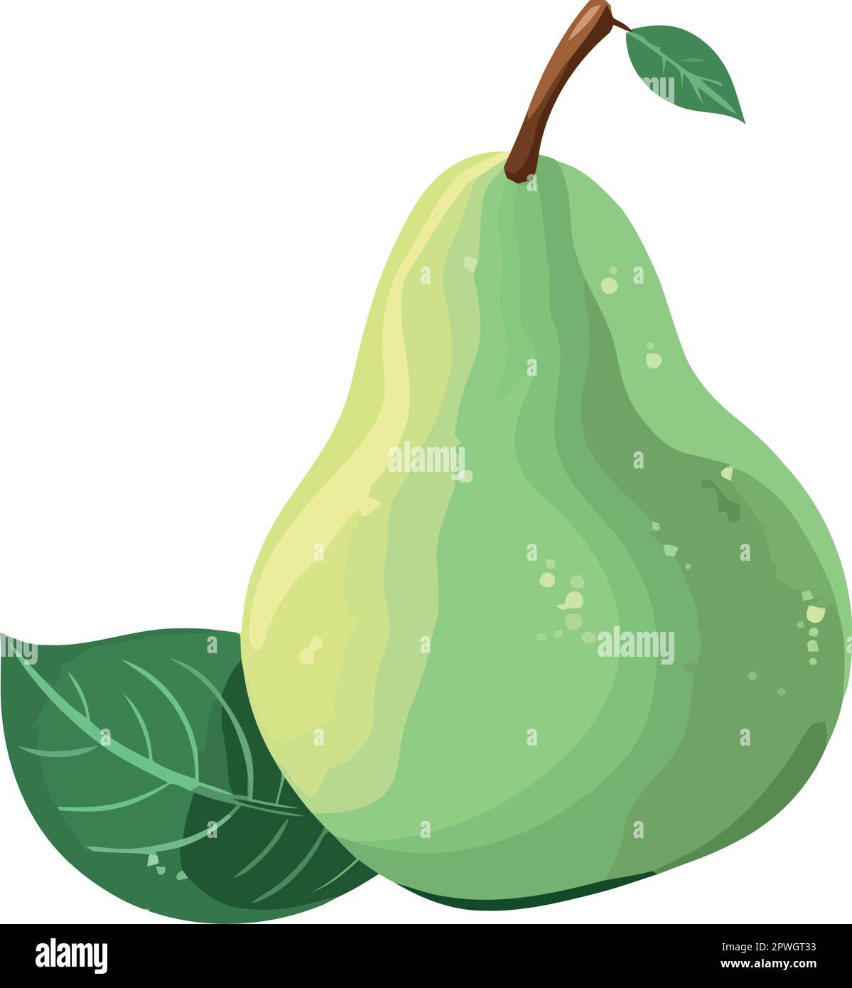 Fresh organic fruit pear , healthy eating Stock Vector Image & Art - Alamy