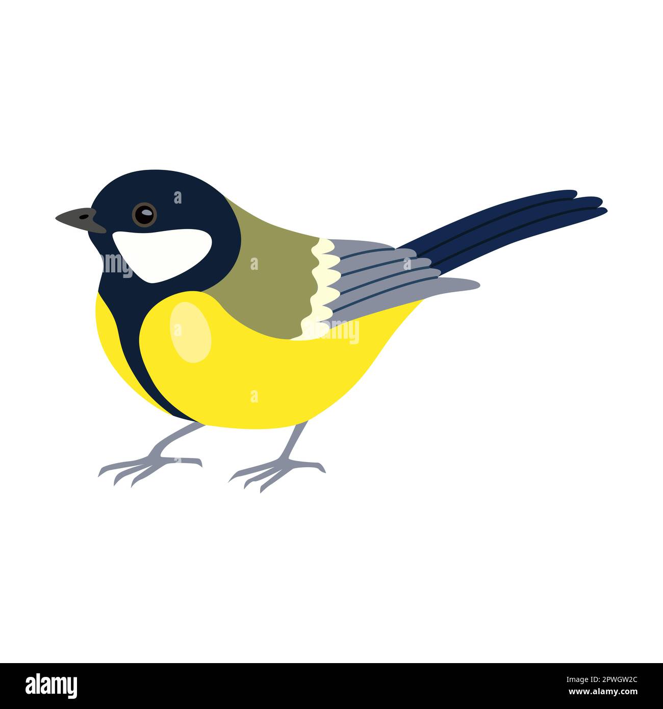 Bright tit bird cartoon illustration. Tomtit, robin, starling, woodpecker  and sparrow sitting on tree branch isolated on white Stock Vector Image &  Art - Alamy
