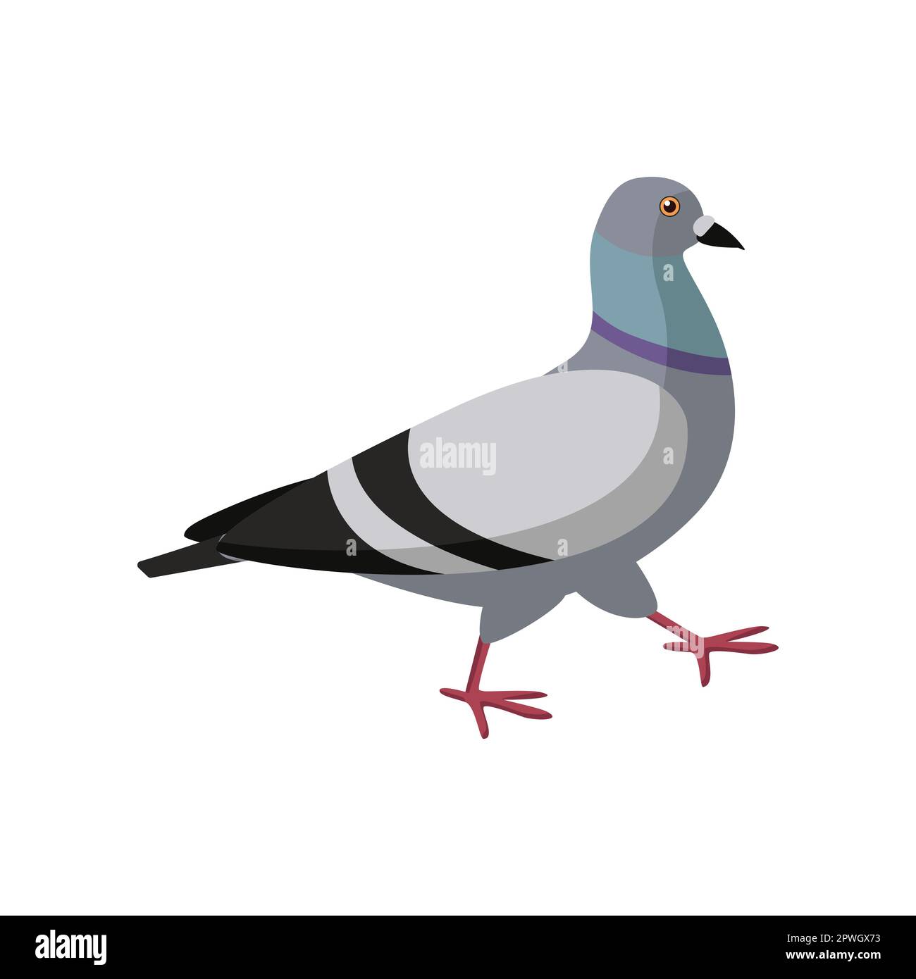 Cute colorful dove walking on white background Stock Vector Image & Art ...