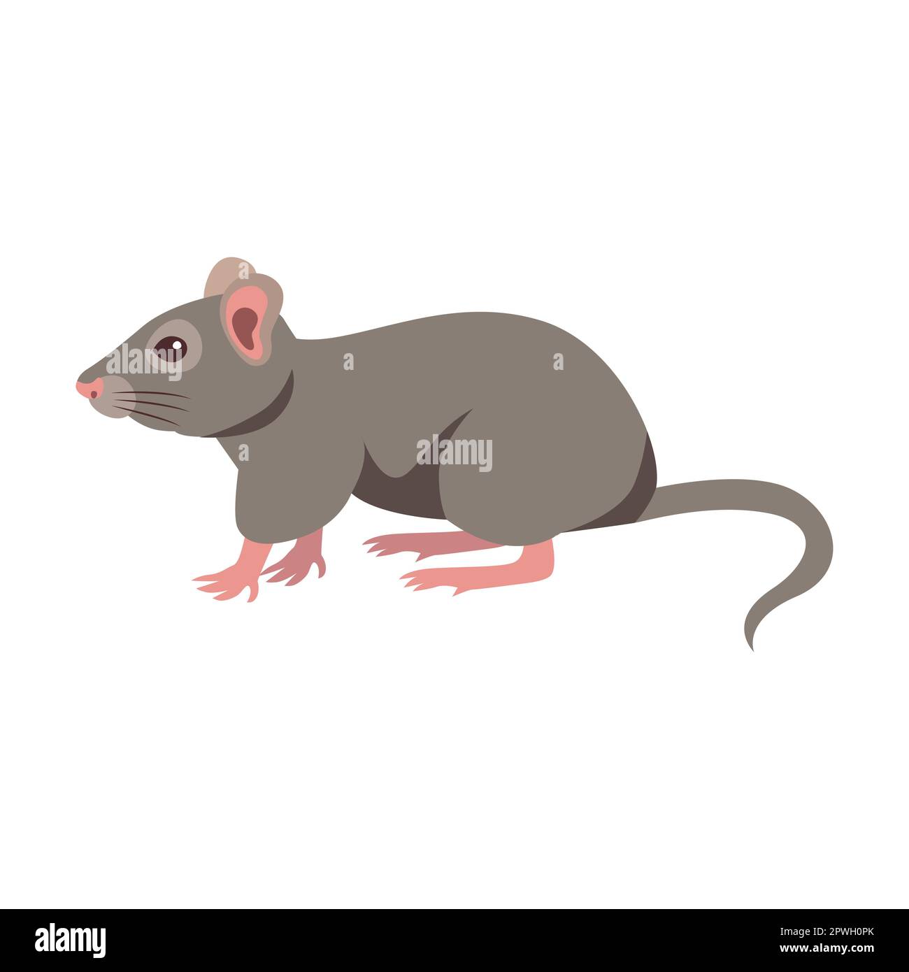 Cute grey mouse cartoon illustration. Little house mice or rat