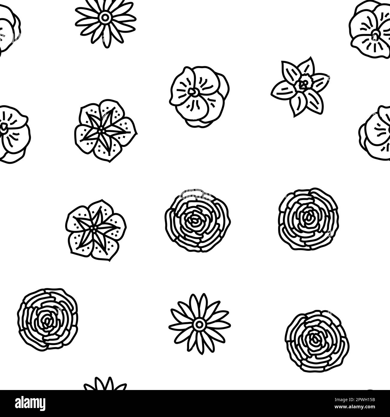 flower spring floral blossom vector seamless pattern thin line ...