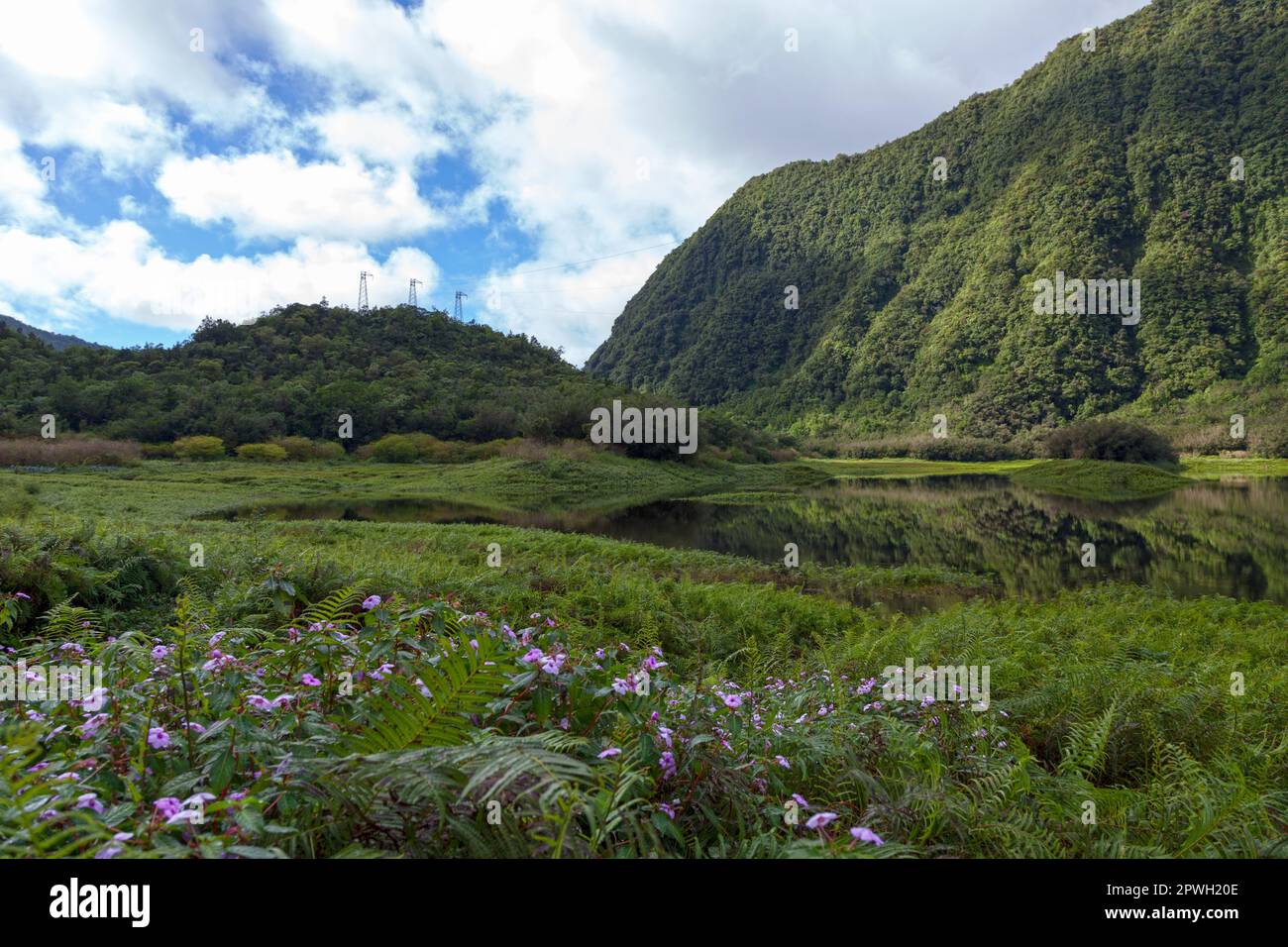 The Grand Étang (large pond in English) is the largest lake on Reunion Island, a French territory in the western Indian Ocean. It lies in the commune Stock Photo