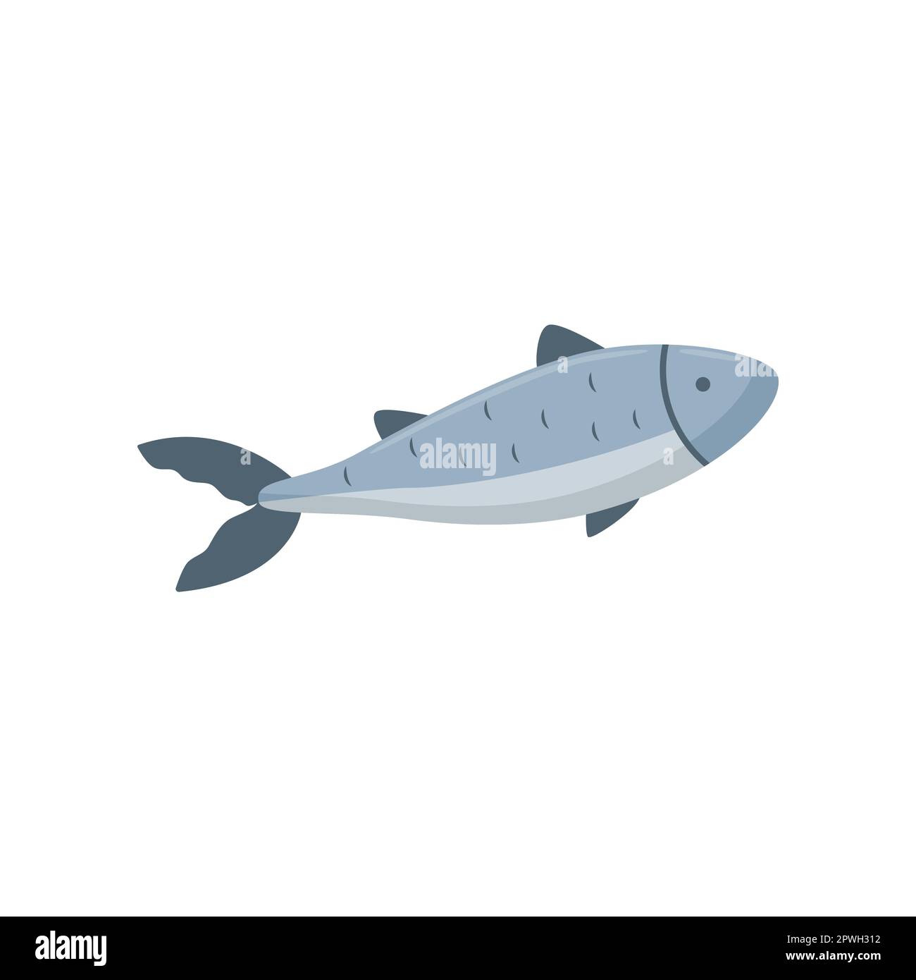 Tuna enriched with vitamin D vector illustration Stock Vector Image