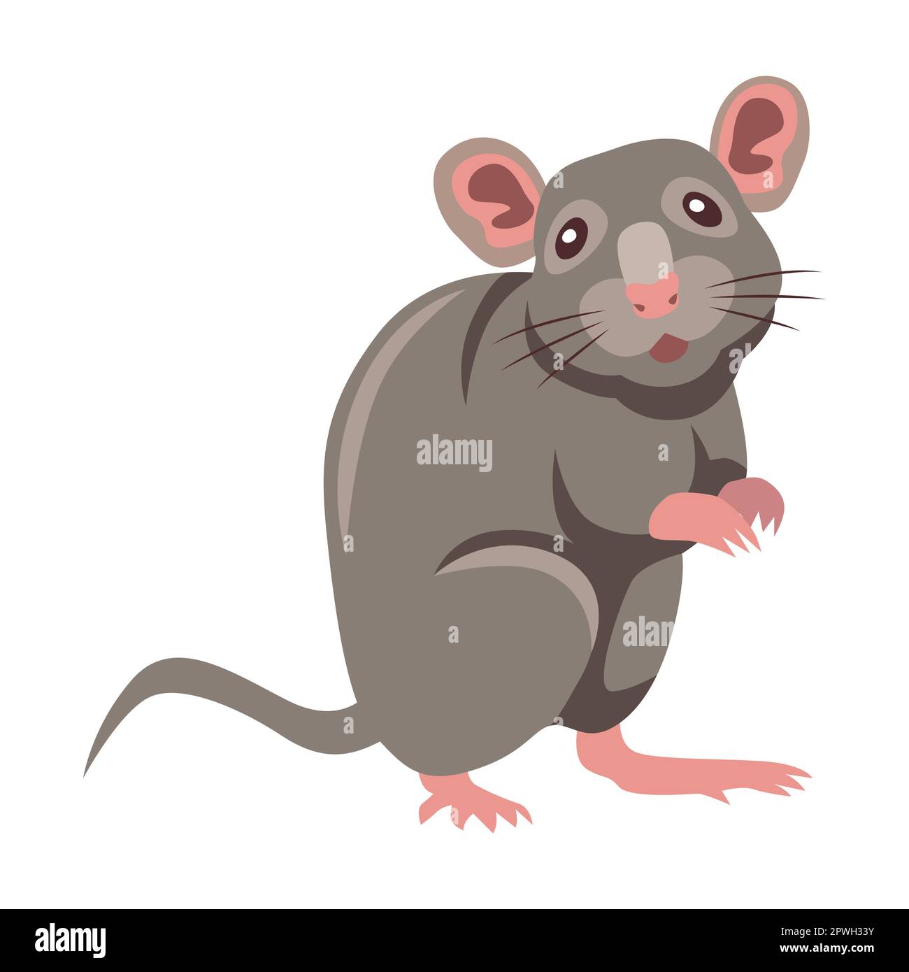 Grey Mouse Cartoon Illustration Little House Mice Or Rat Character grey-mouse-cartoon-illustration-little-house-mice-or-rat-character