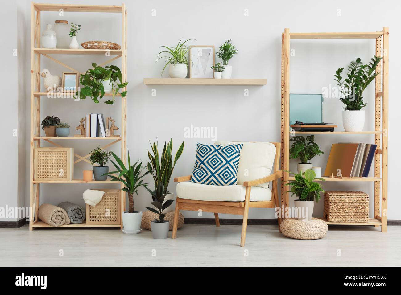 Beautiful living room interior with different houseplants and wooden