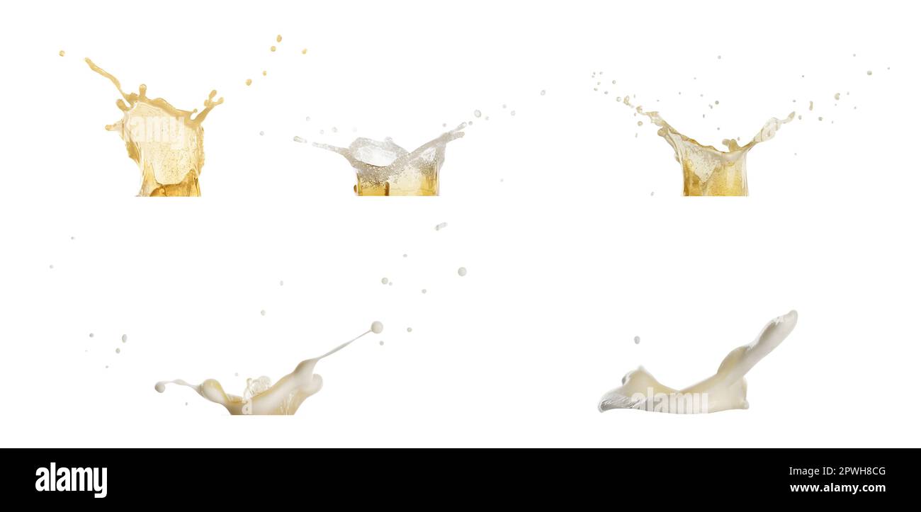 Set with beer splashes on white background. Banner design Stock Photo
