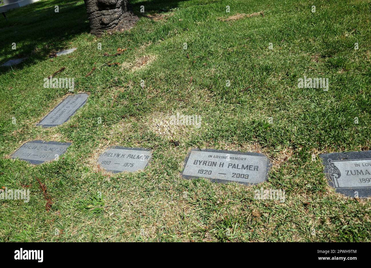 Los Angeles, California, USA 29th April 2023 Entertainer Byron Palmer Grave and Actress Georgine Darcy (unmarked) Grave at Hollywood Forever Cemetery on April 29, 2023 in Los Angeles, California, USA. Photo by Barry King/Alamy Stock Photo Stock Photo