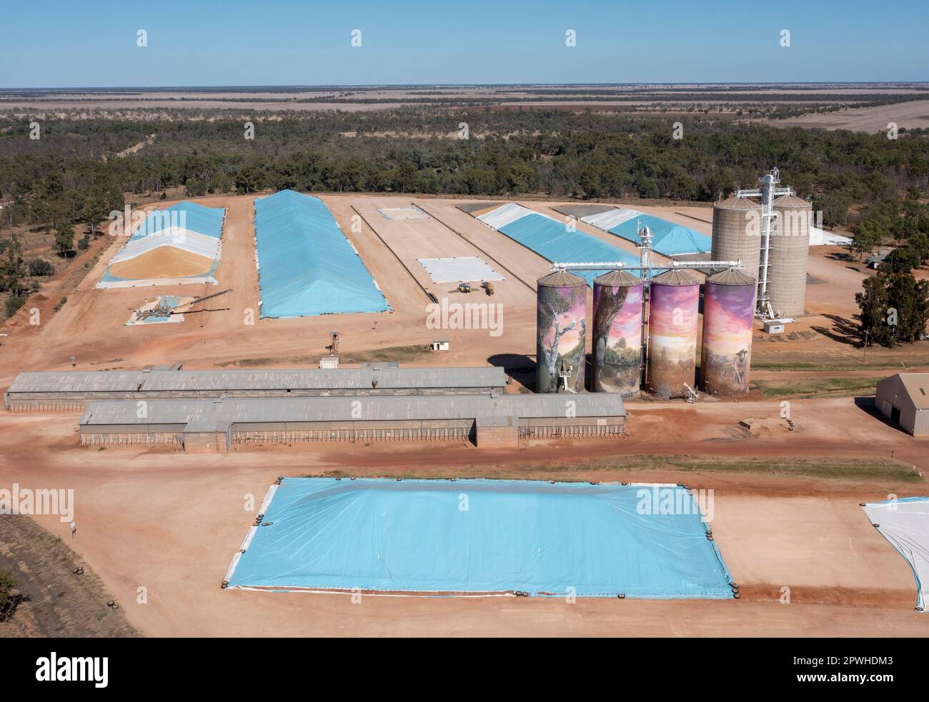 painted grain silos at Thallon ,Queensland, Australia Stock Photo Alamy