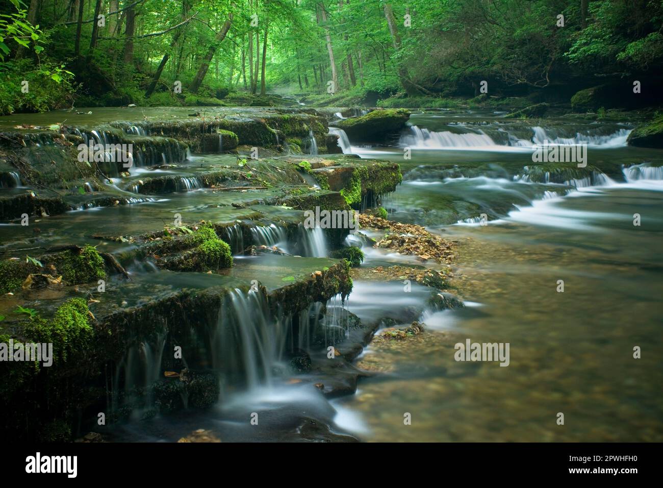 Waterfall, Green Moss, Forest, Short Springs Natural Area, Tennessee Stock Photo