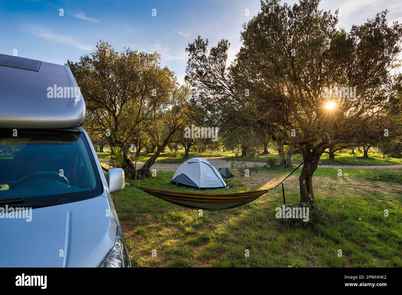 Camping site, mini camper, campervan, hammock, tent, evening sun shining through olive trees