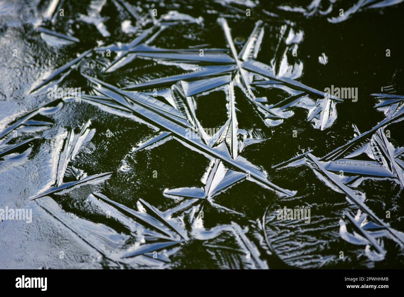 Frozen garden pond in winter, ice structures, ice formations Stock Photo
