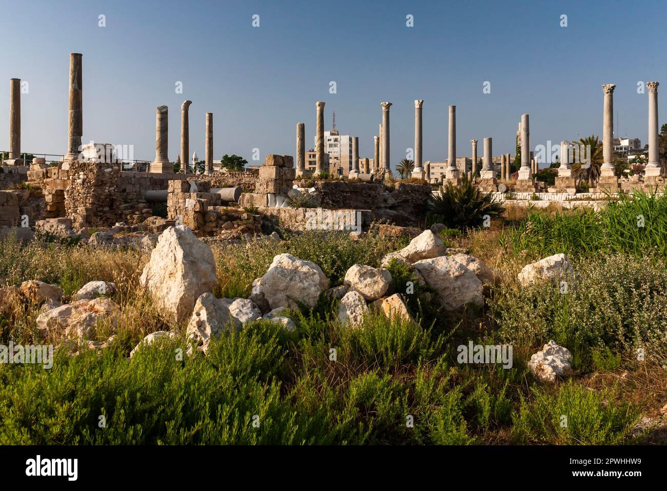 Roman Ruins And Columns At Tip Of Tyre Peninsula, Mediterranean Sea 