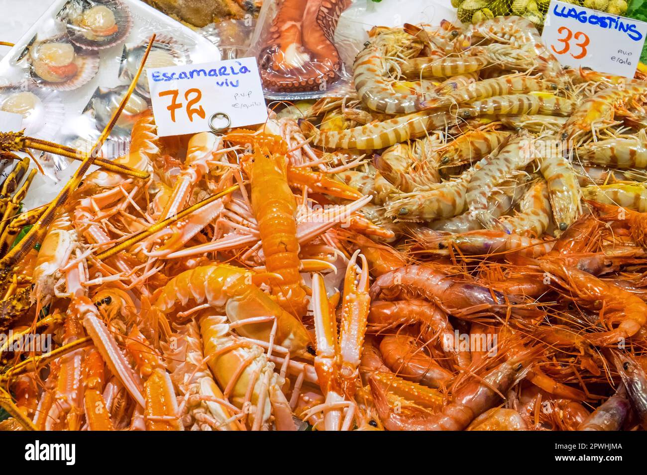 Fresh shellfish for sale at a market Stock Photo