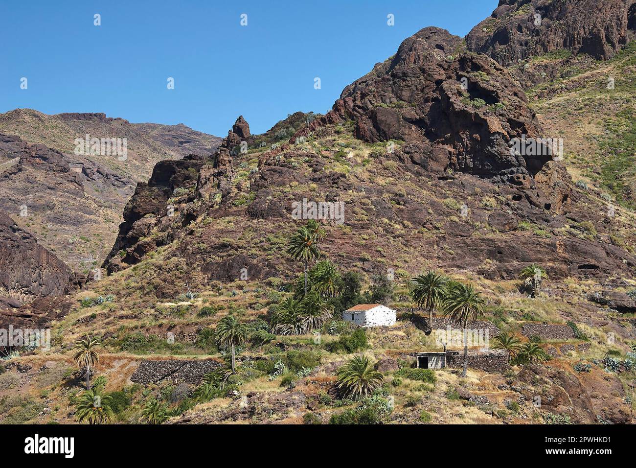 Finca, stone house, palm trees, green hill, blue cloudless sky, Barranco de la Aldea, gorge, Gran Canaria, Canary Islands, Spain Stock Photo