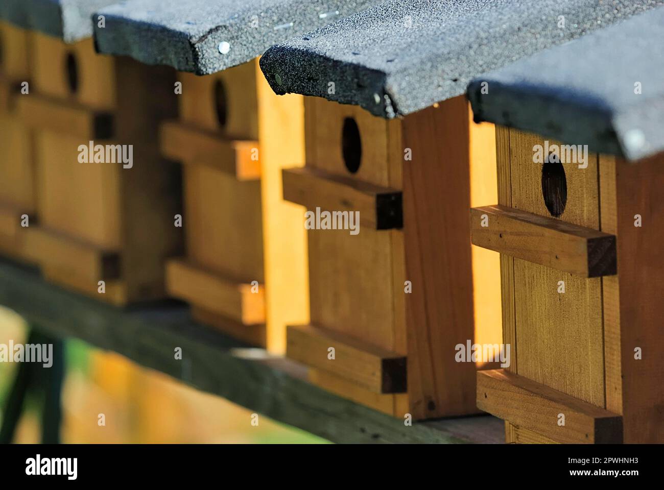 Bird nesting boxes, bird nesting box, nesting box, nesting nest Stock