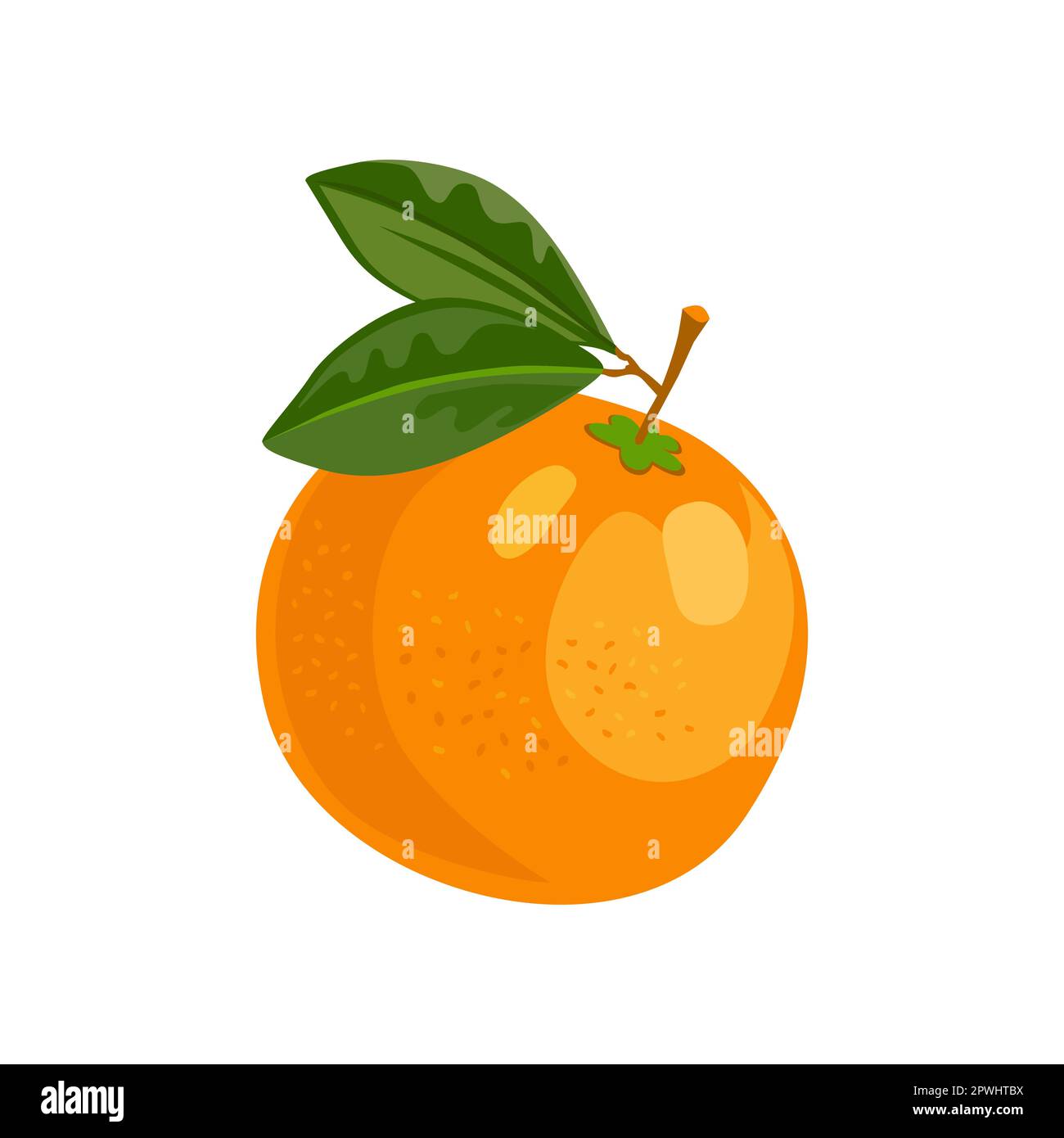 Tangerine with vitamin C vector illustration Stock Vector Image & Art