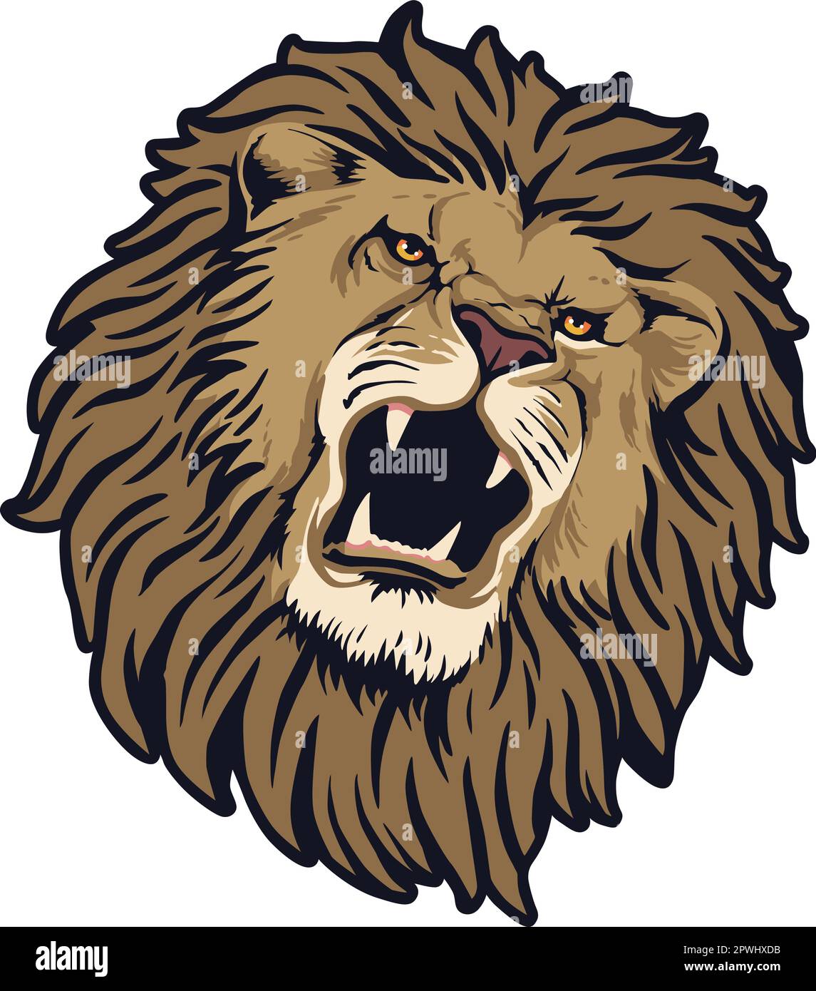 Lion Head Vector Illustration. Colour and BW Stock Vector Image & Art