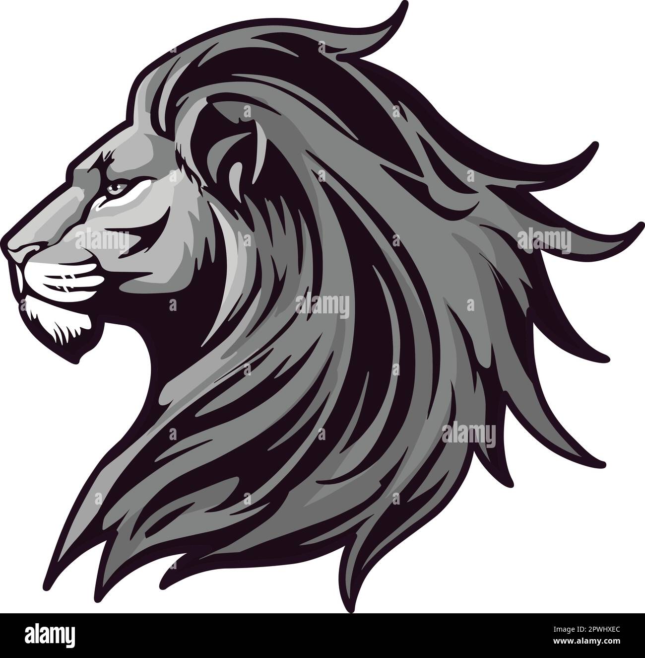 Lion Head Vector Illustration. Colour and BW Stock Vector Image & Art