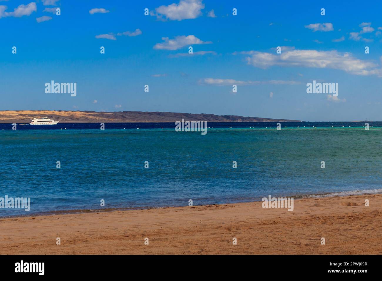White yacht sailing in Red sea, Egypt Stock Photo - Alamy