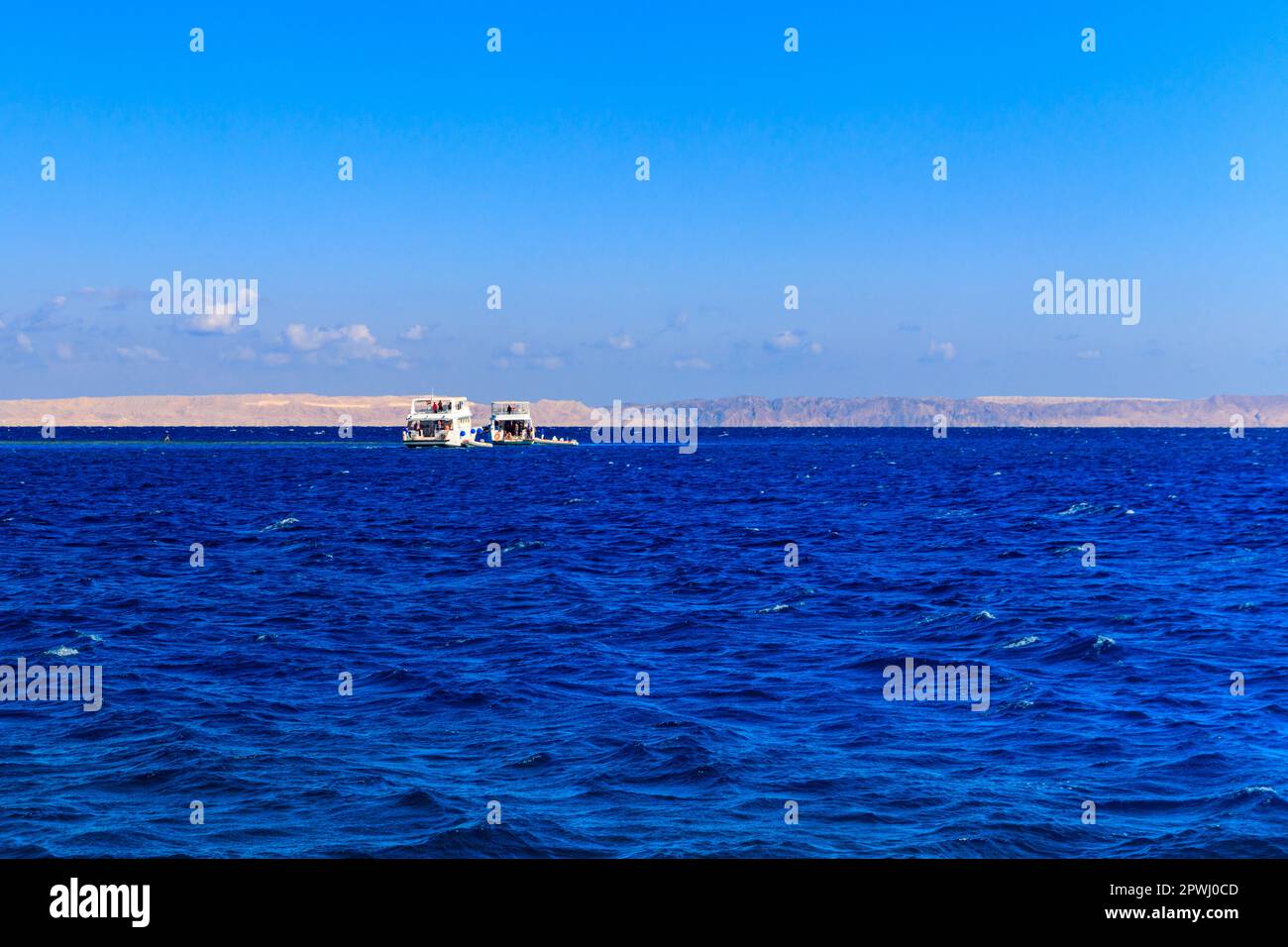 White yachts sailing in Red sea, Egypt Stock Photo - Alamy