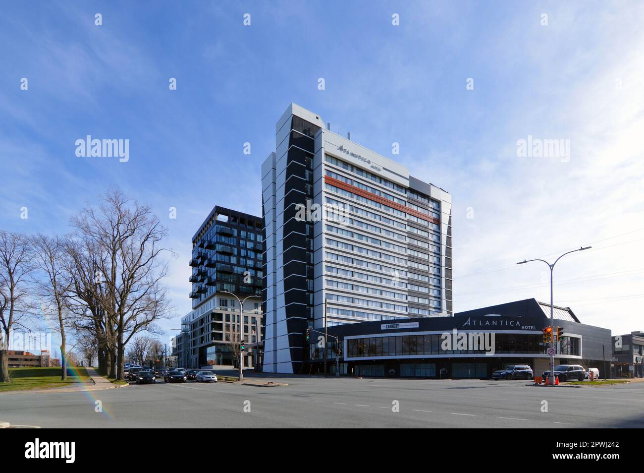 The Willow Tree intersection at Robie Street and Quinpool Road in