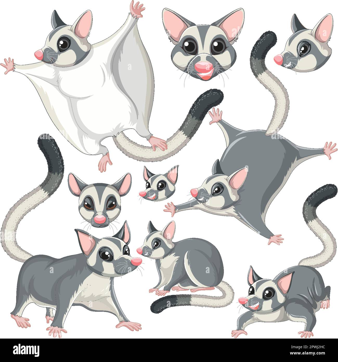 Set of sugar glider character with head and facial expression