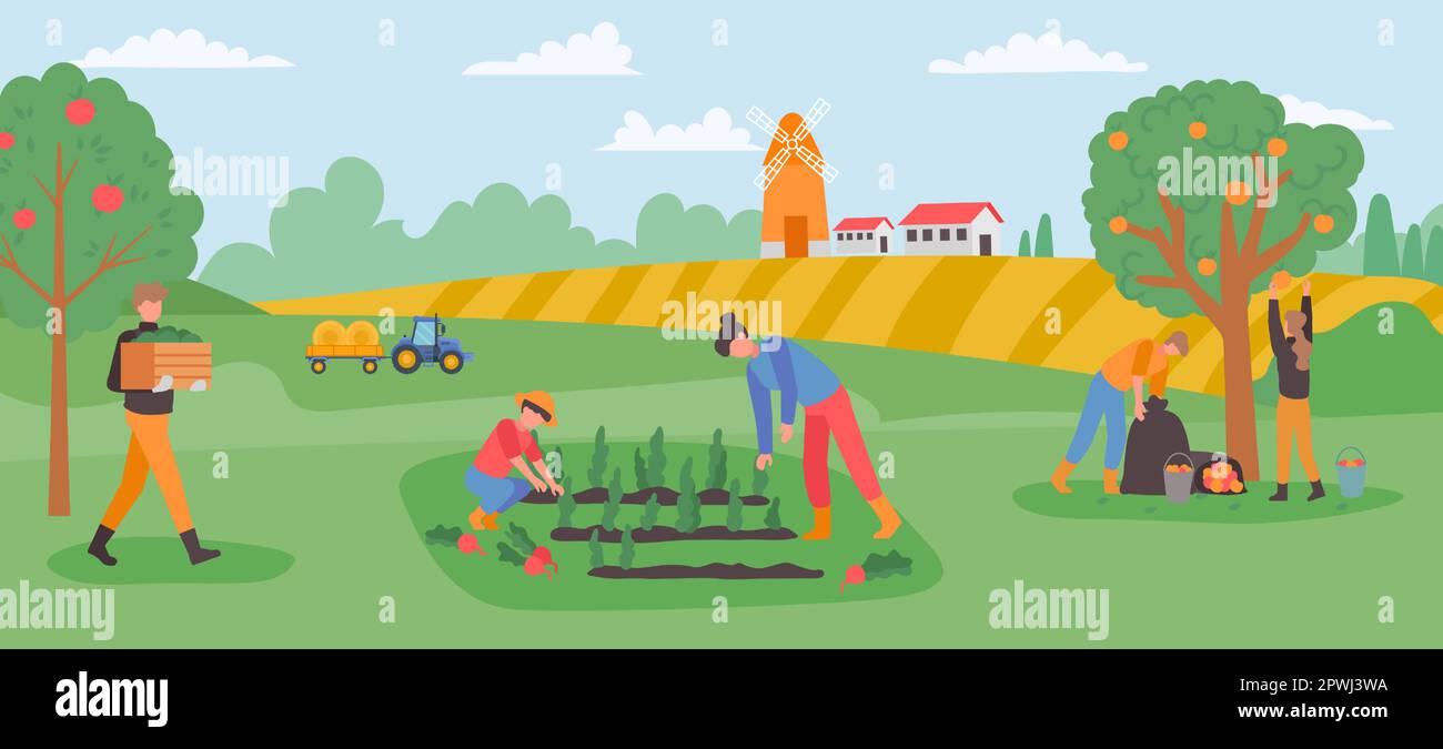 Autumn gathering, farmers collect harvest fruits and vegetables in garden. Vector of farmer and fruit illustration, autumn agriculture farming Stock Vector