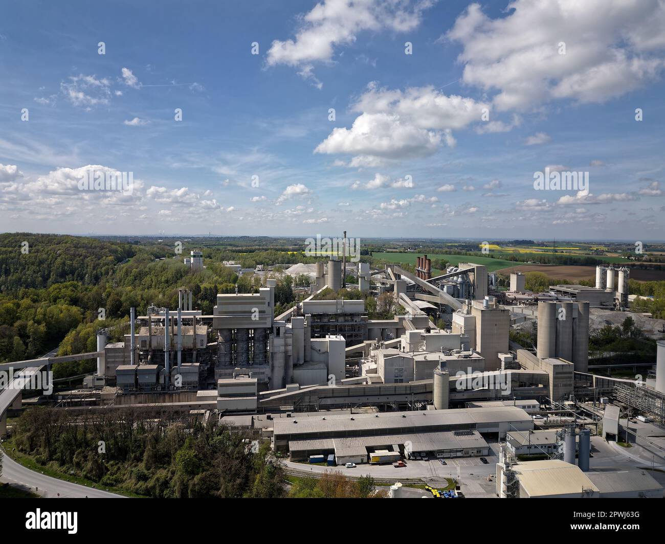 Europe's largest Lime Plant Stock Photo Alamy