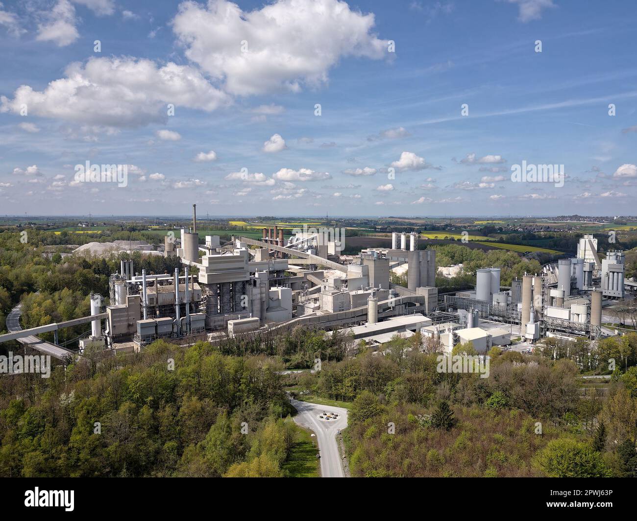 Europe's largest Lime Plant Stock Photo Alamy
