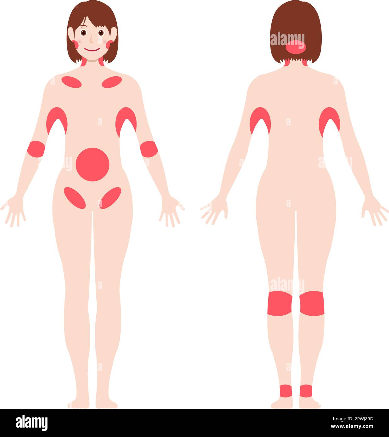 Locations of major lymph nodes vector illustration ( no text Stock