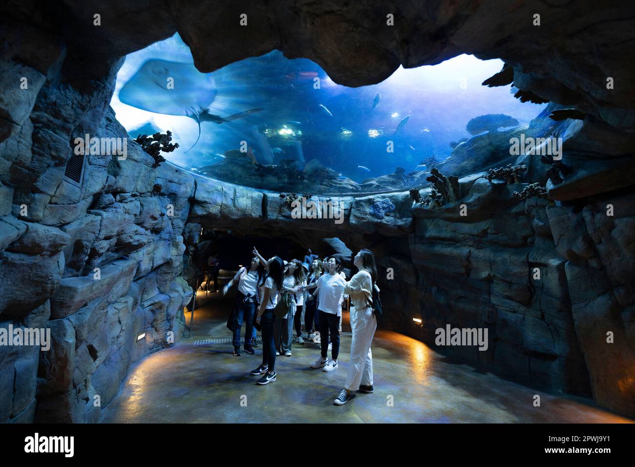 Aquarium, Hong Kong, China. Stock Photo