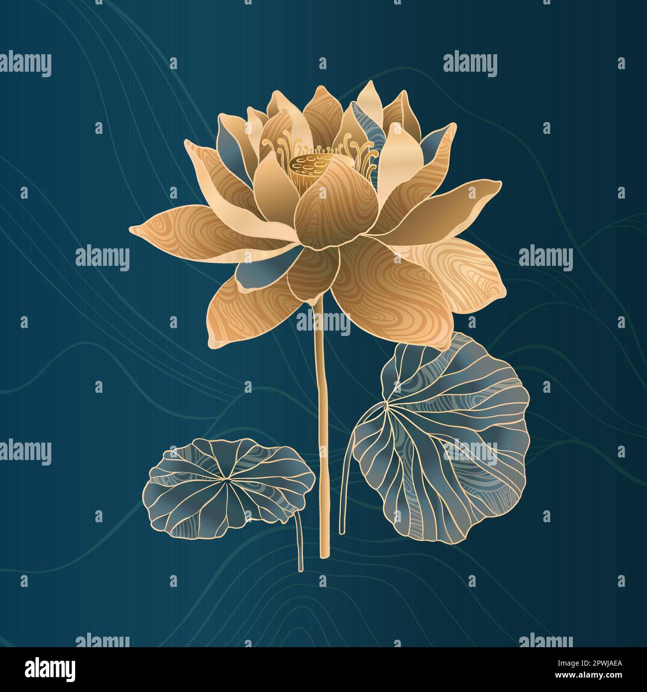 Lotus flowers for luxury and exclusive use in design. Water lilies in gold and blue colors, isolated lotus elements. Nelumbo made in Chinese Stock Vector