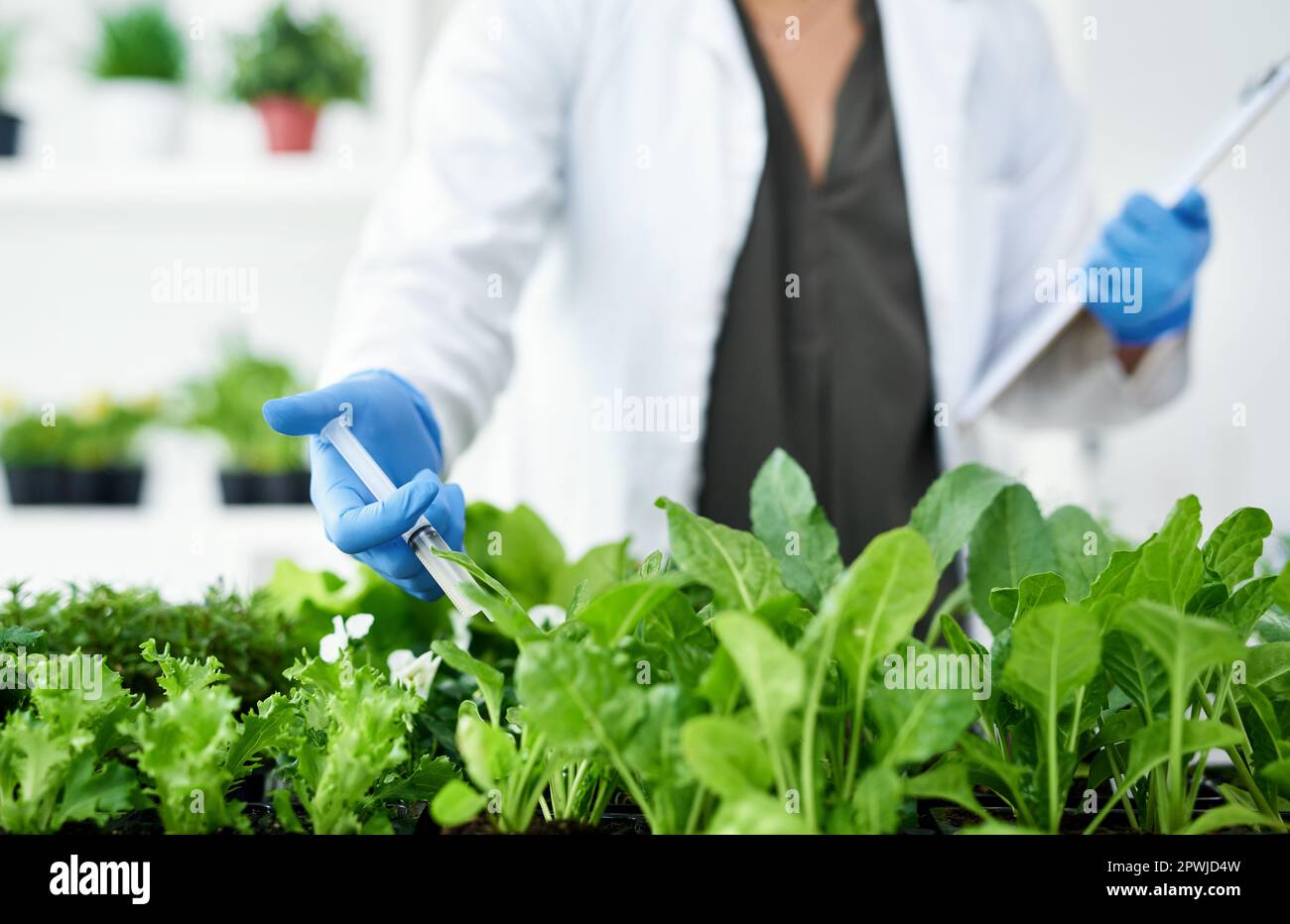 Lets try something new. a female scientist experimenting with plants Stock Photo