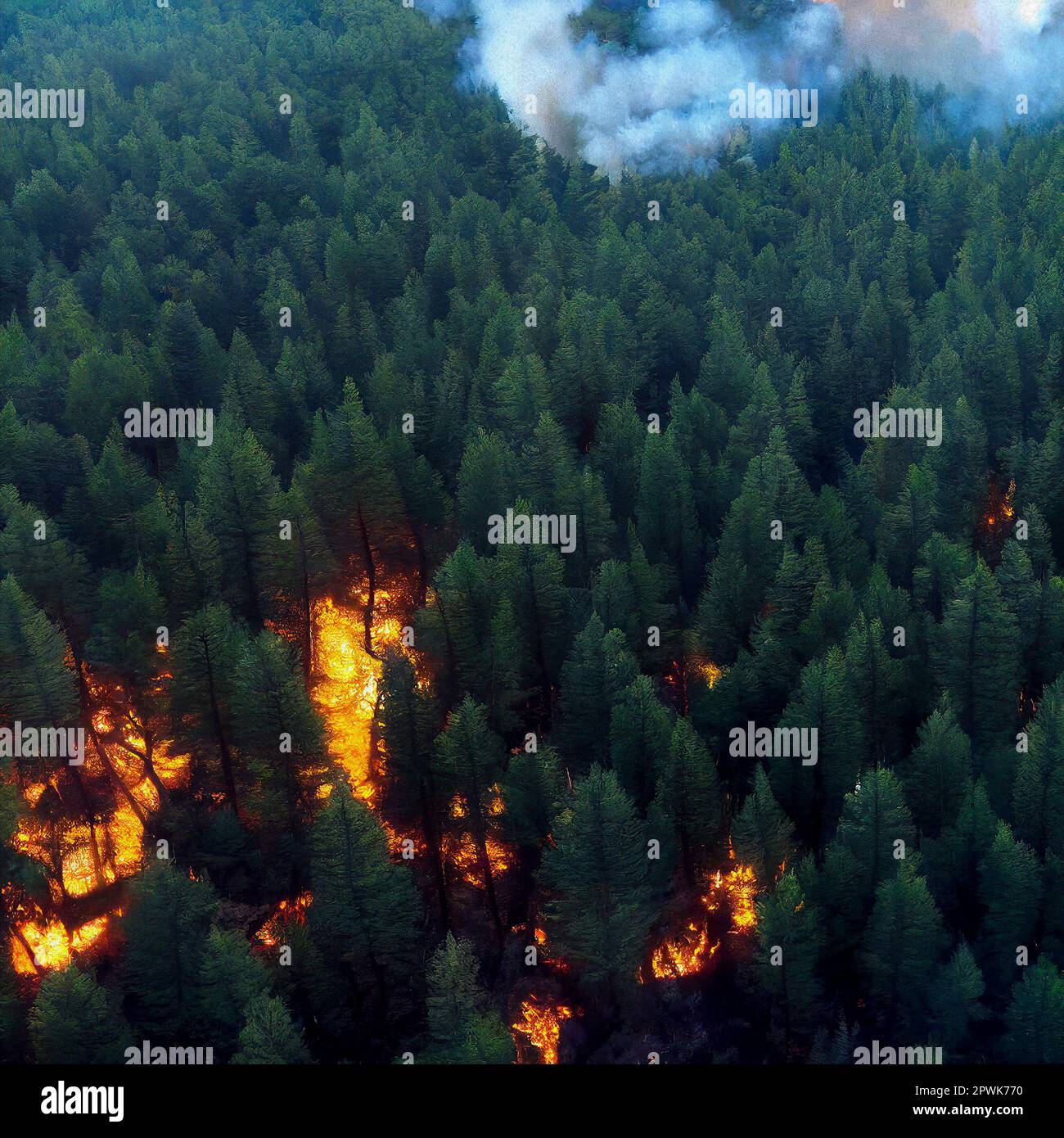 Wildfire Spreading and Smoke Coming out of a Pine Forest Stock Photo