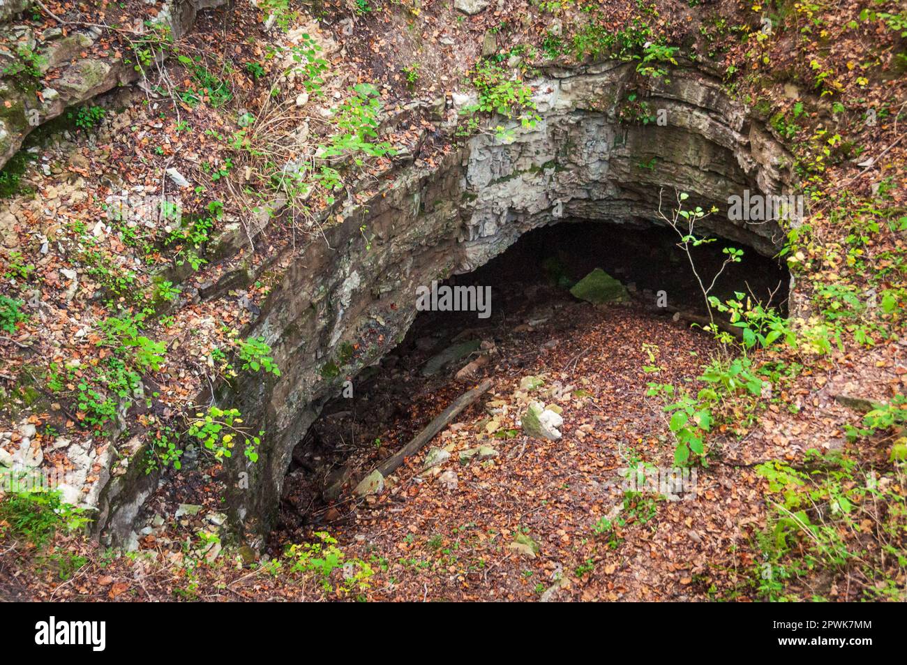 Mammoth Cave National Park in Kentucky Stock Photo Alamy