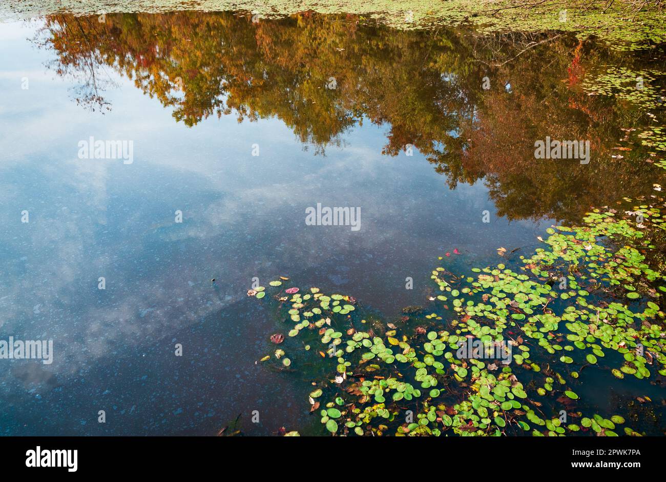 Mammoth Cave National Park in Kentucky Stock Photo Alamy
