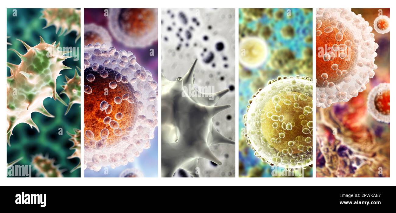 Collection of horizontal or vertical banners with pathogenic bacterias and viruses. Virus under microscope. Fast multiplication of bacteria. Infection Stock Photo